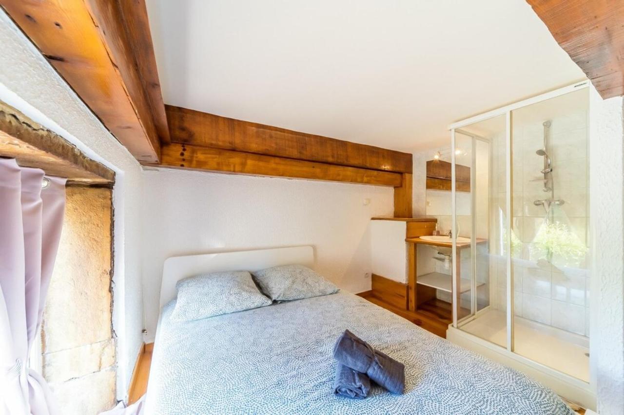 The Charming Fleury 2 Bedrooms Oullins Exterior foto